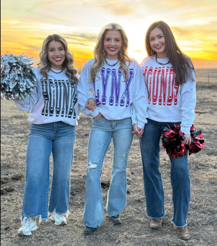 SHS Distressed Custom Mascot Sweatshirt - IN STOCK