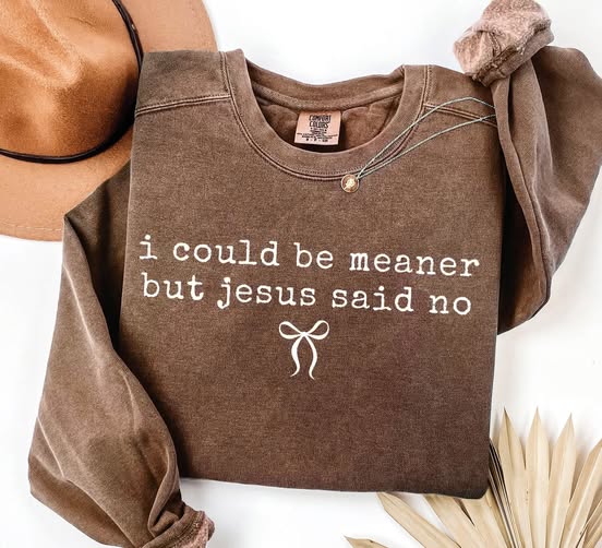 I Could Be Meaner But Jesus Said No - EARLY SEP ETA (PREORDER)